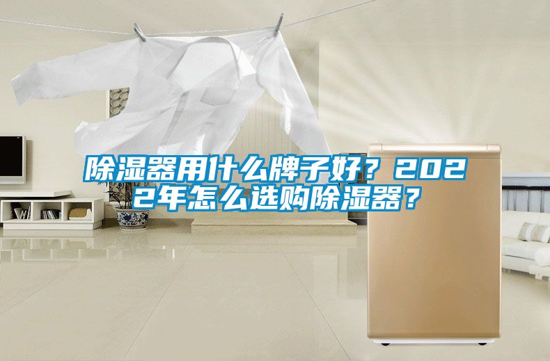 除濕器用什么牌子好？2022年怎么選購除濕器？