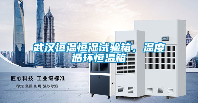 武漢恒溫恒濕試驗箱，溫度循環恒溫箱
