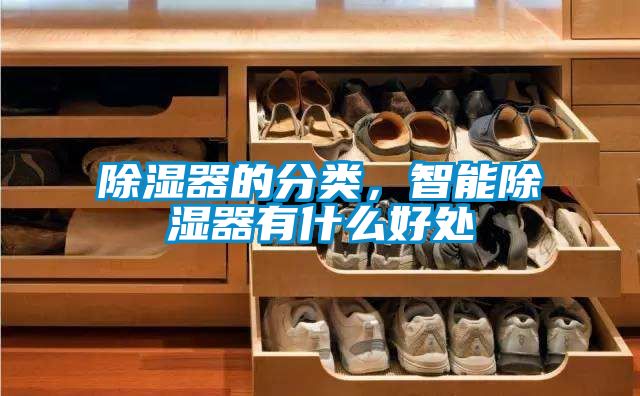 除濕器的分類，智能除濕器有什么好處