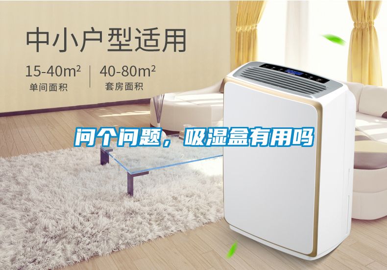 問個問題，吸濕盒有用嗎