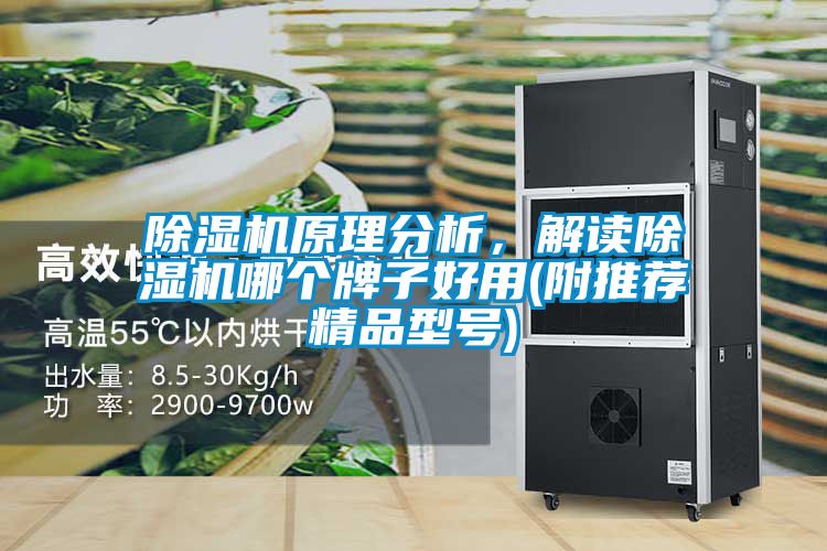 除濕機原理分析，解讀除濕機哪個牌子好用(附推薦精品型號)