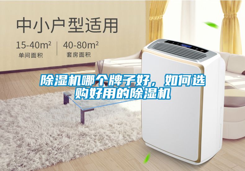 除濕機(jī)哪個牌子好，如何選購好用的除濕機(jī)