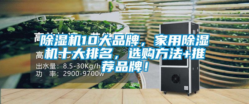 除濕機10大品牌，家用除濕機十大排名，選購方法+推薦品牌！