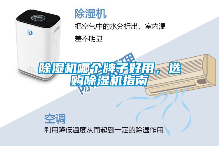 除濕機哪個牌子好用，選購除濕機指南