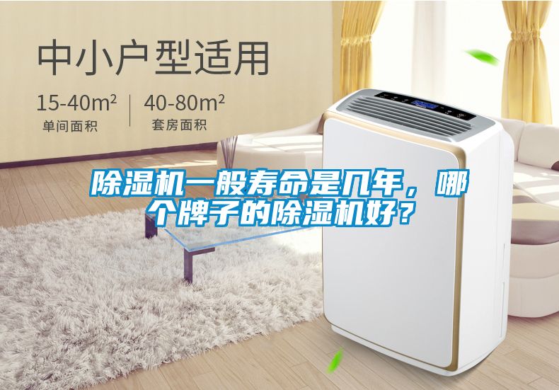 除濕機一般壽命是幾年，哪個牌子的除濕機好？