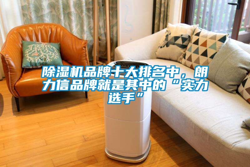 除濕機品牌十大排名中，朗力信品牌就是其中的“實力選手”