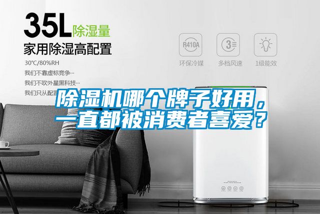 除濕機哪個牌子好用，一直都被消費者喜愛？