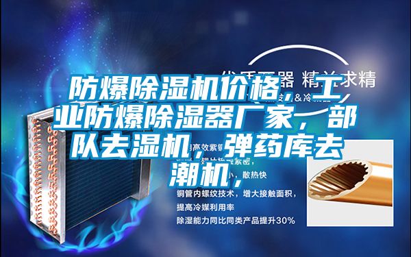 防爆除濕機價格，工業防爆除濕器廠家，部隊去濕機，彈藥庫去潮機，