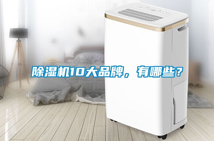 除濕機10大品牌，有哪些？