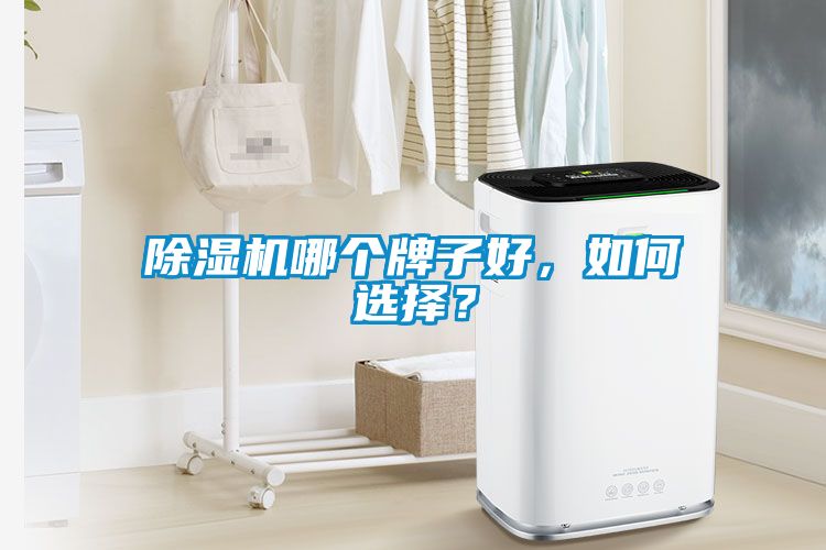 除濕機(jī)哪個牌子好，如何選擇？