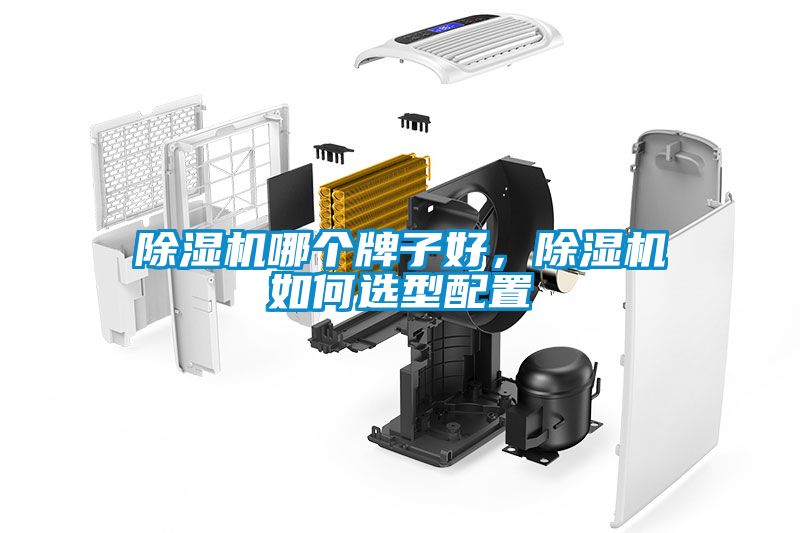 除濕機(jī)哪個牌子好，除濕機(jī)如何選型配置