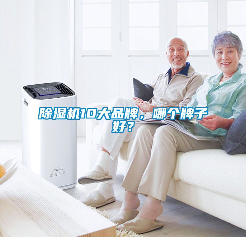 除濕機10大品牌，哪個牌子好？