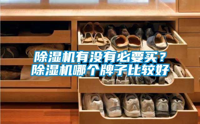 除濕機(jī)有沒(méi)有必要買？除濕機(jī)哪個(gè)牌子比較好