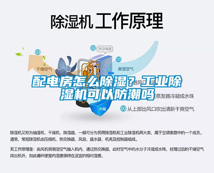 配電房怎么除濕？工業(yè)除濕機可以防潮嗎