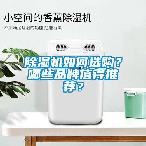 除濕機如何選購？哪些品牌值得推薦？