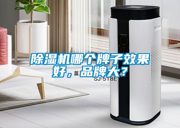 除濕機(jī)哪個(gè)牌子效果好，品牌大？