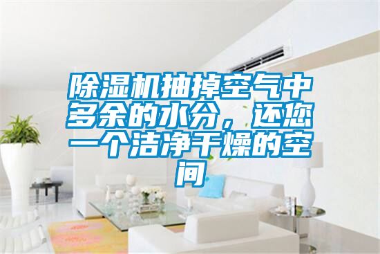 除濕機抽掉空氣中多余的水分，還您一個潔凈干燥的空間