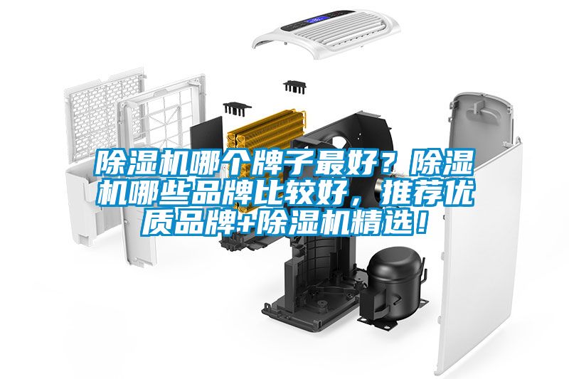 除濕機(jī)哪個(gè)牌子最好？除濕機(jī)哪些品牌比較好，推薦優(yōu)質(zhì)品牌+除濕機(jī)精選！