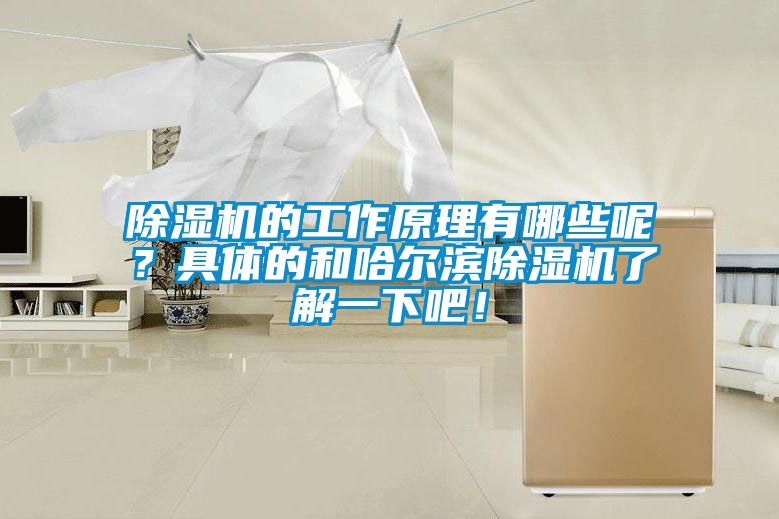 除濕機的工作原理有哪些呢？具體的和哈爾濱除濕機了解一下吧！