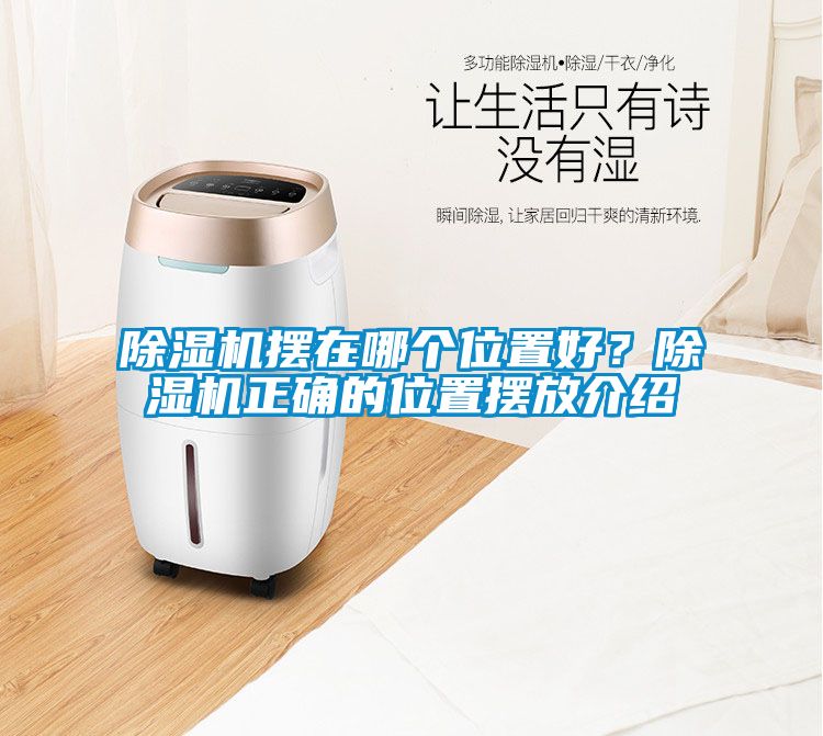 除濕機擺在哪個位置好？除濕機正確的位置擺放介紹