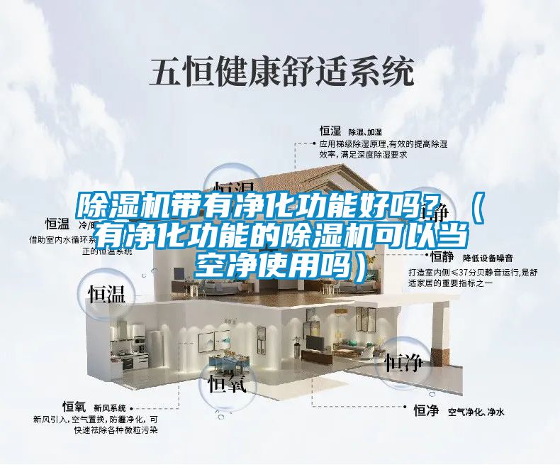 除濕機帶有凈化功能好嗎？（有凈化功能的除濕機可以當空凈使用嗎）