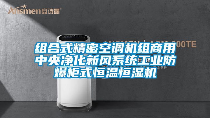 組合式精密空調機組商用中央凈化新風系統工業(yè)防爆柜式恒溫恒濕機