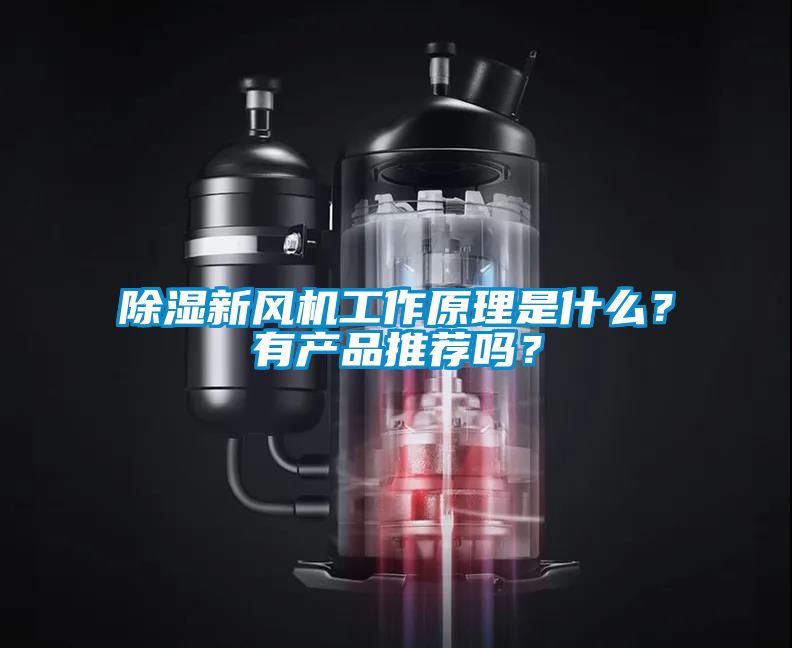 除濕新風機工作原理是什么？有產品推薦嗎？