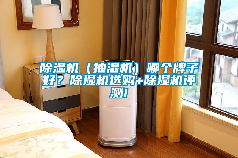 除濕機（抽濕機）哪個牌子好？除濕機選購+除濕機評測!