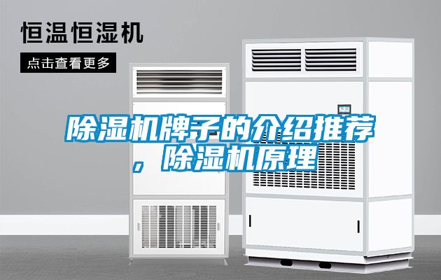 除濕機(jī)牌子的介紹推薦，除濕機(jī)原理