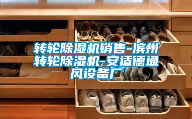 轉(zhuǎn)輪除濕機(jī)銷(xiāo)售-濱州轉(zhuǎn)輪除濕機(jī)-安適德通風(fēng)設(shè)備廠(chǎng)