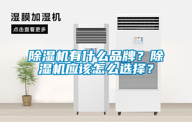 除濕機(jī)有什么品牌？除濕機(jī)應(yīng)該怎么選擇？