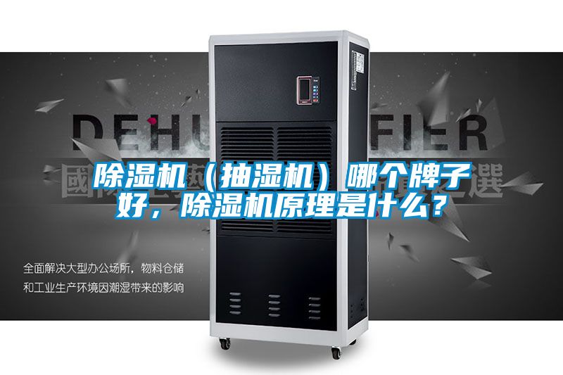 除濕機（抽濕機）哪個牌子好，除濕機原理是什么？