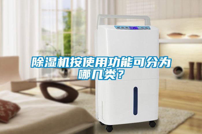 除濕機按使用功能可分為哪幾類？