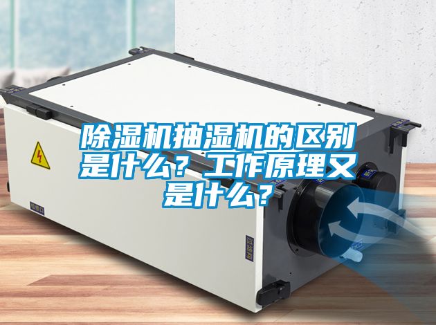 除濕機抽濕機的區別是什么？工作原理又是什么？