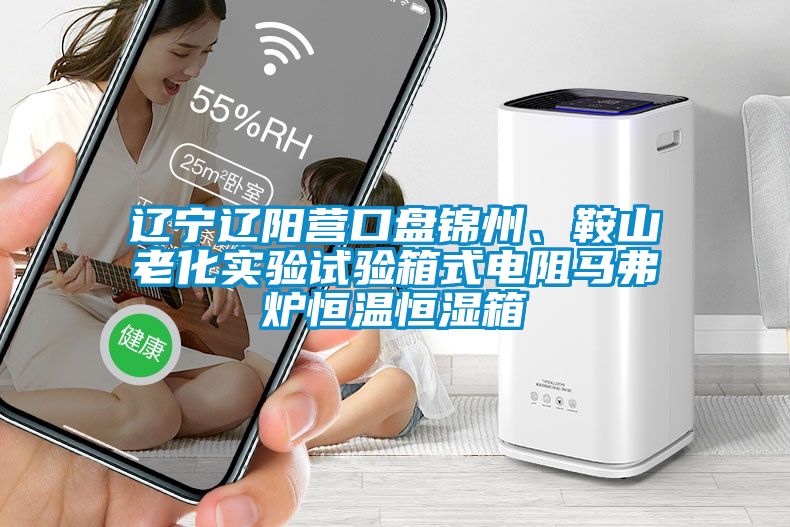 遼寧遼陽營口盤錦州、鞍山老化實驗試驗箱式電阻馬弗爐恒溫恒濕箱