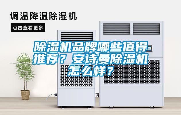 除濕機品牌哪些值得推薦？安詩曼除濕機怎么樣？