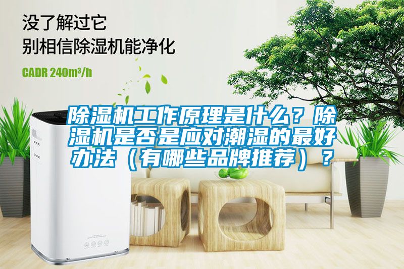 除濕機工作原理是什么？除濕機是否是應對潮濕的最好辦法（有哪些品牌推薦）？