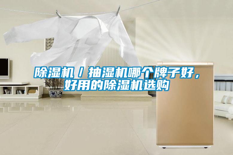 除濕機／抽濕機哪個牌子好，好用的除濕機選購