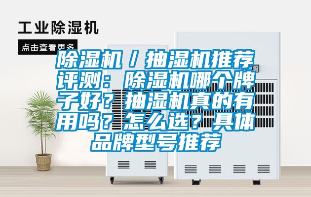 除濕機／抽濕機推薦評測：除濕機哪個牌子好？抽濕機真的有用嗎？怎么選？具體品牌型號推薦